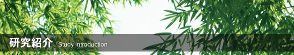 研究紹介
